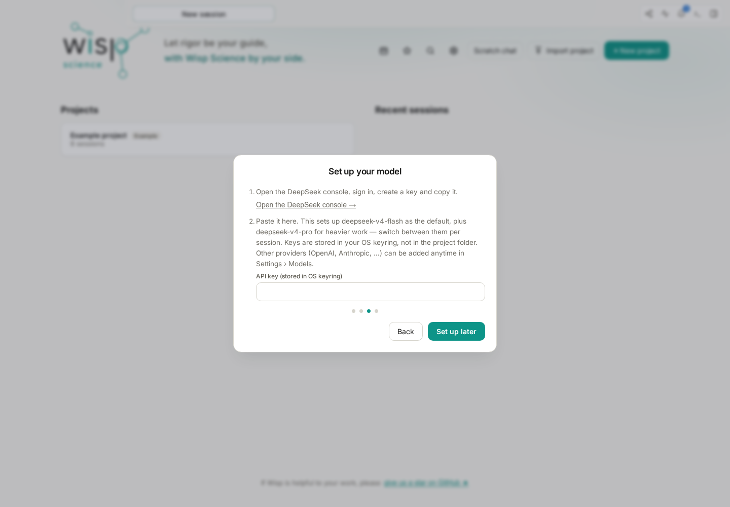 The model onboarding page with the provider console link and API key field