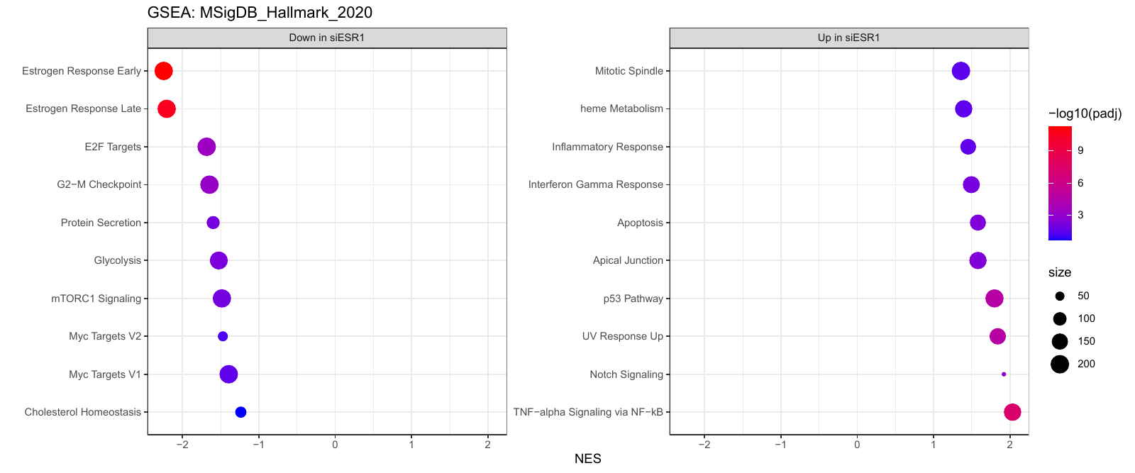 GSE153250 Hallmark GSEA showing selected pathways by NES direction