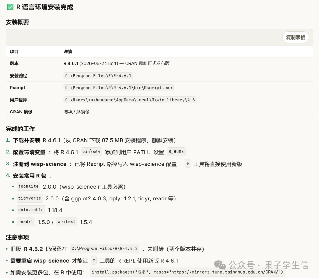 Wisp Science 中的 R 安装完成说明