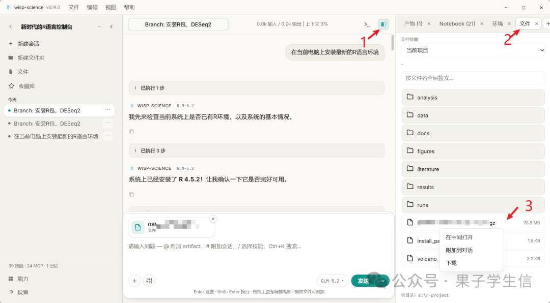 把大数据文件直接放入 Wisp Science 项目目录