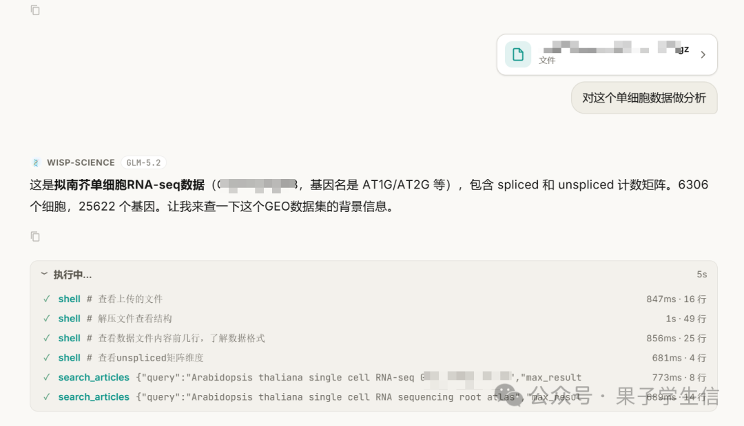 Wisp Science 正在执行 R 数据分析任务